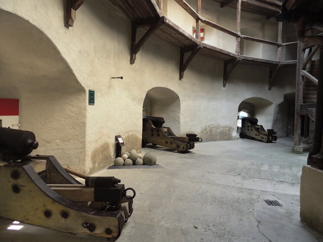 В оружейном музее замка Хоэнвефен - Гала 