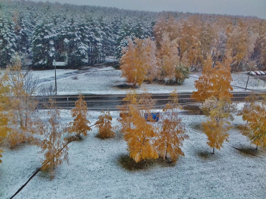 осень    первый снег - Владимир 