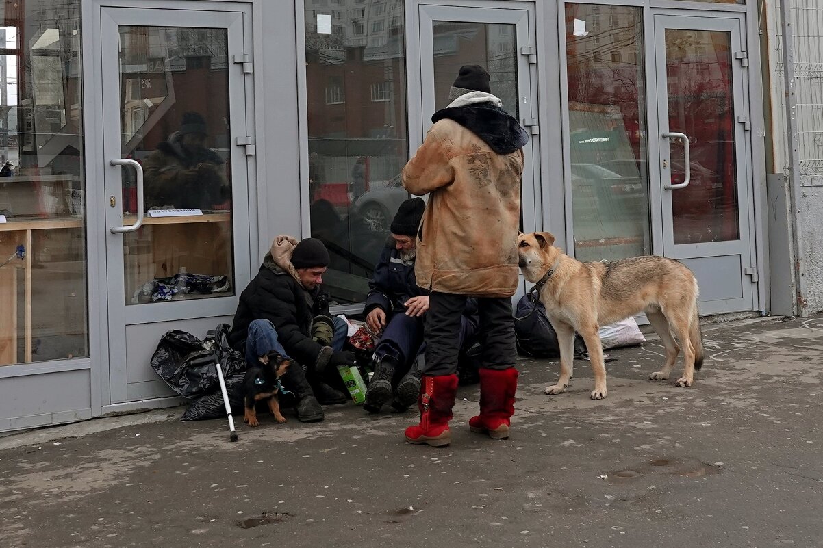 Жизнь наперекосяк. - Татьяна Помогалова