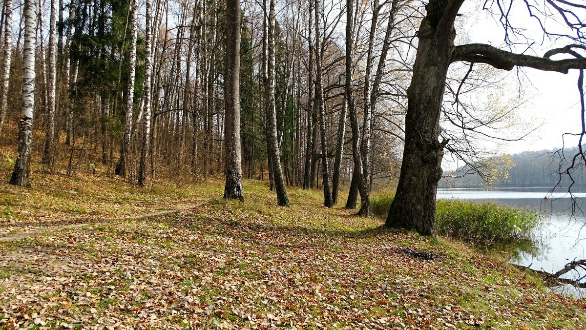 Осень в деревне - Милешкин Владимир Алексеевич 
