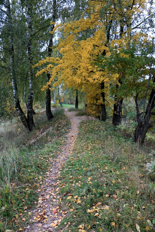 Осенними тропинками - Галина Козлова 