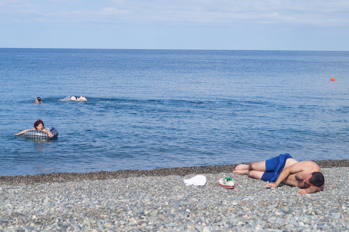 ещё одного тюленя выбросило на берег Черного моря. - Серж Поветкин