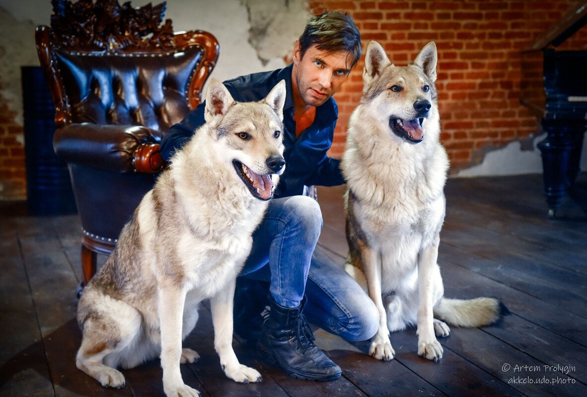 Фотосессия с волками - Akkelo _p_