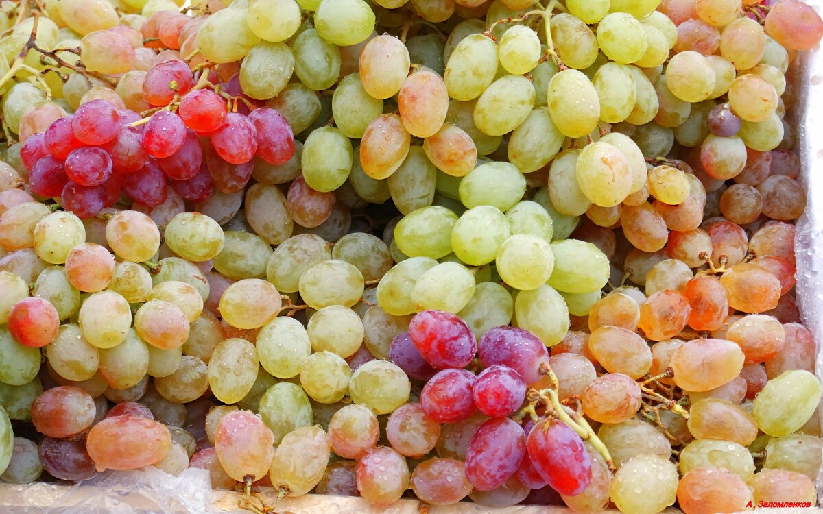 Почему вино желтого цвета называется белым? — Потому что его делают из зелёного винограда! :-) - Андрей Заломленков
