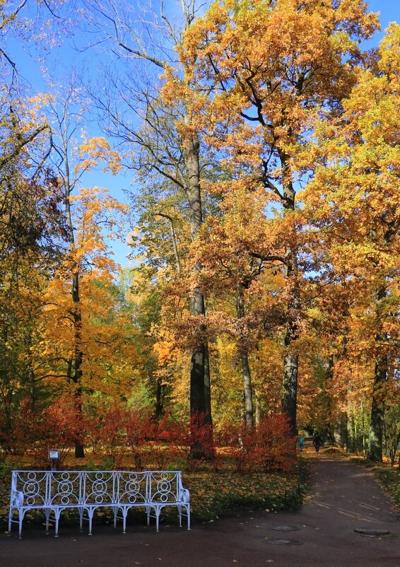 Аллея в парке - Галина Козлова 