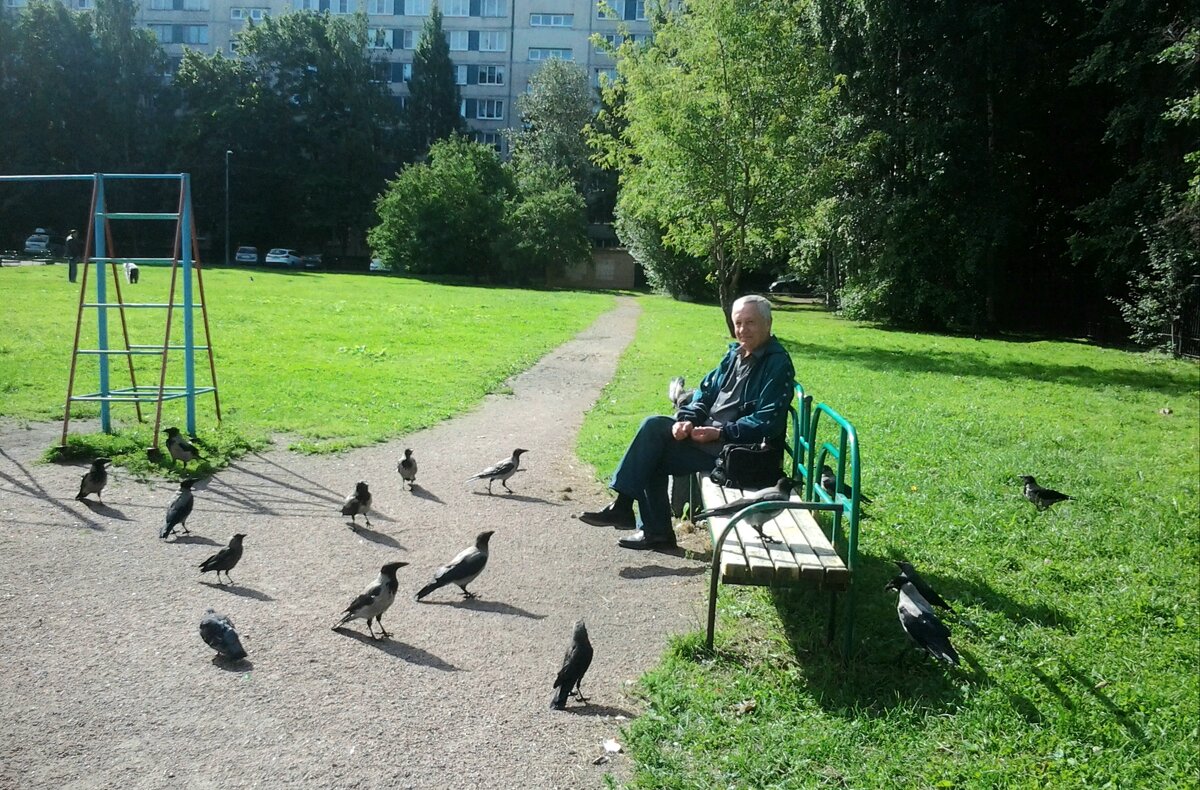 Любимец ворон - Светлана Дунаева