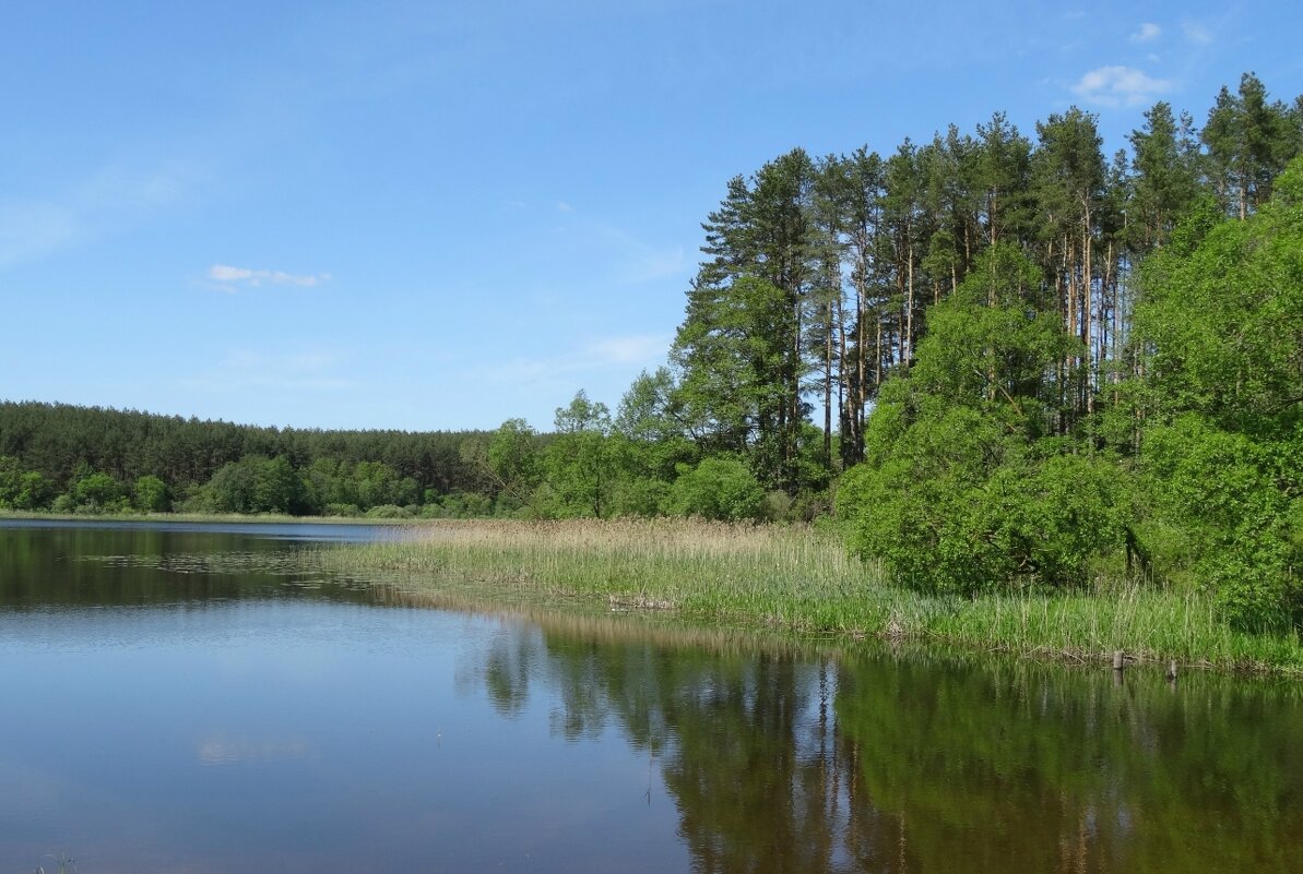 Озеро Луговое - PRP 