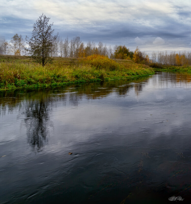 Октябрь. Холодная река - Владимир Шамота