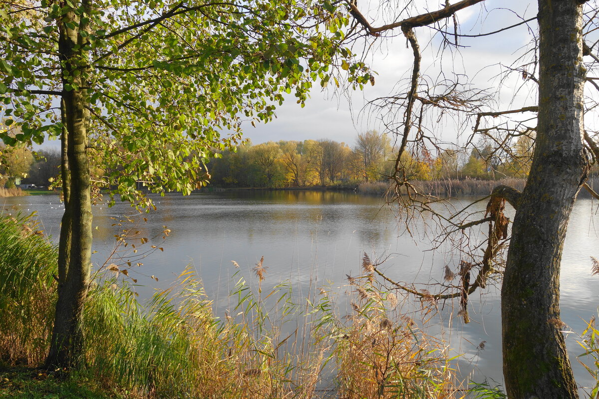 Золотая осень - Маргарита Батырева