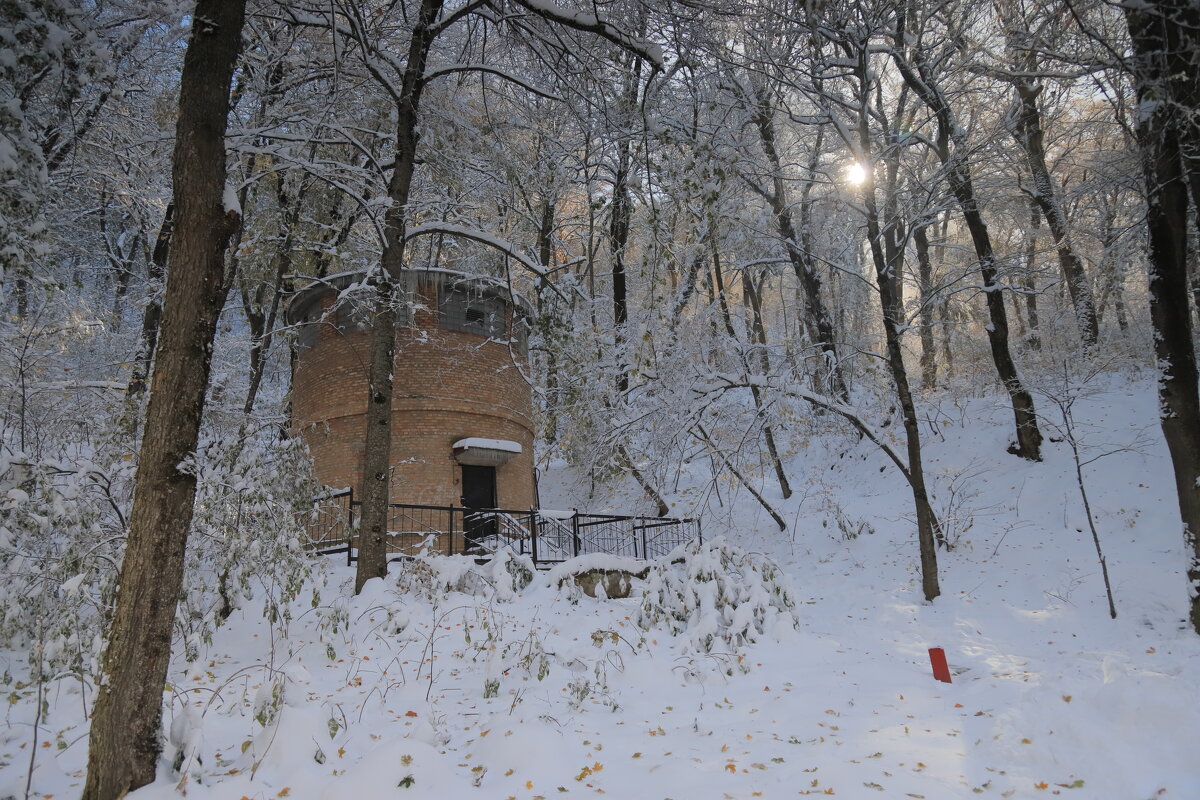 Снег в ноябре - Светлана 