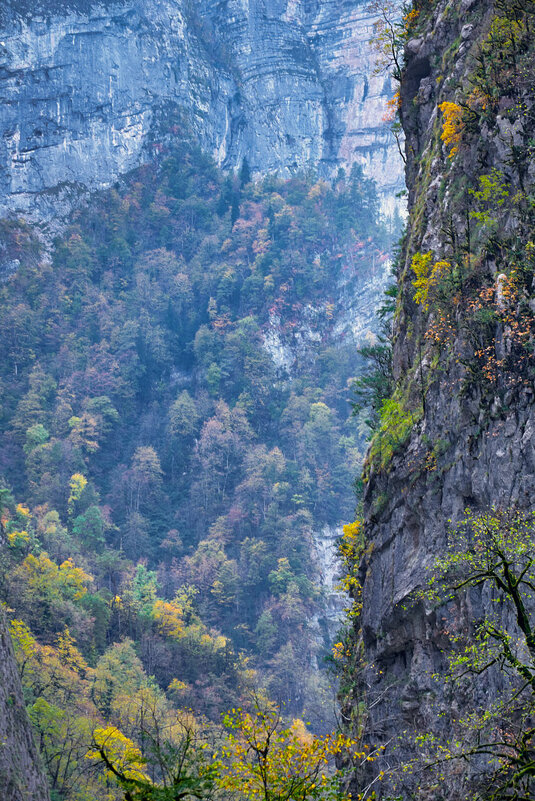 Осень в горах Абхазии - Николай Николенко