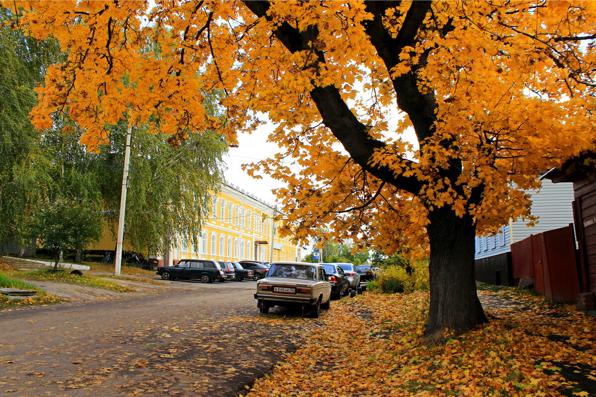 Осень в городе. - Сергей 