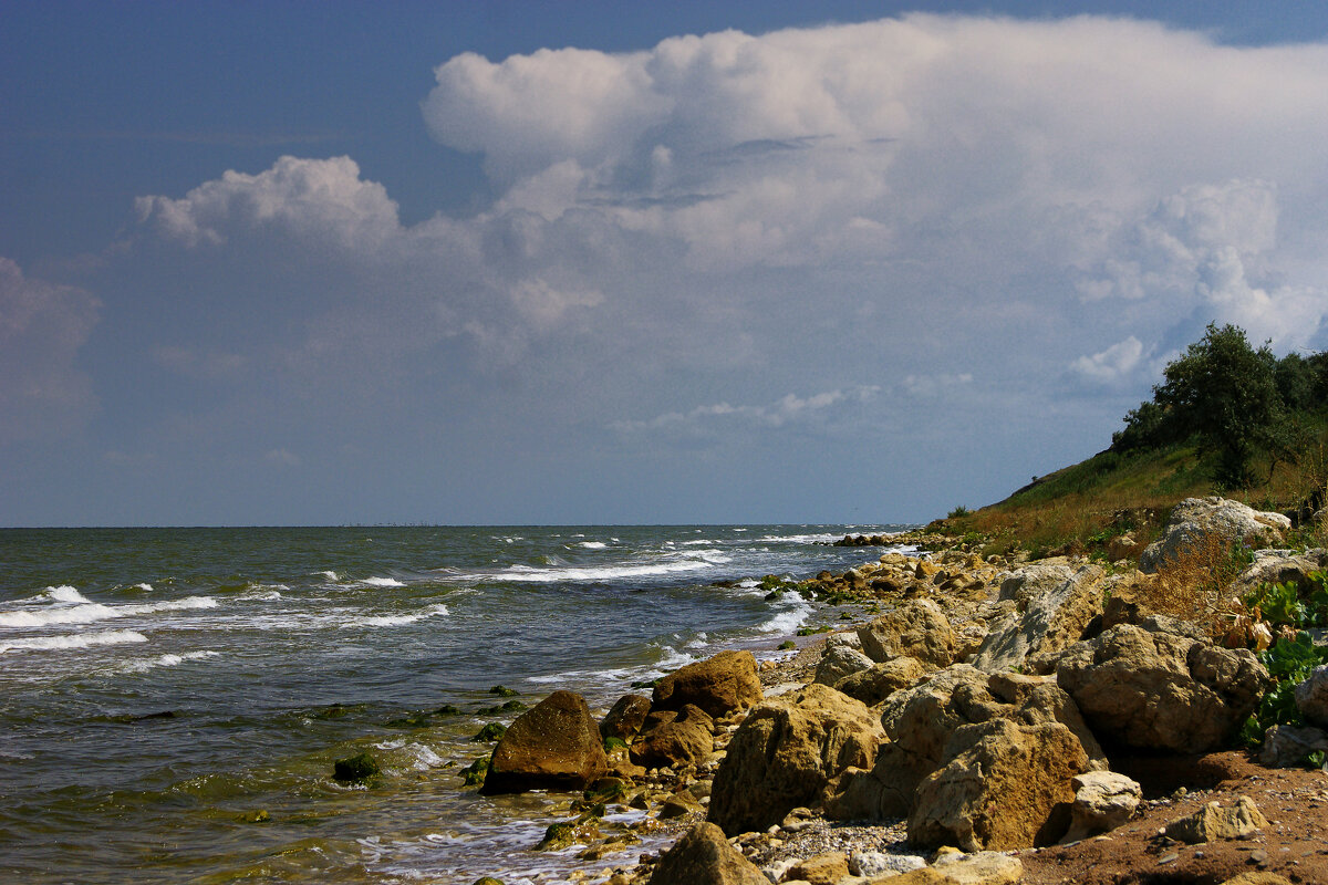 Море - Нина Богданова