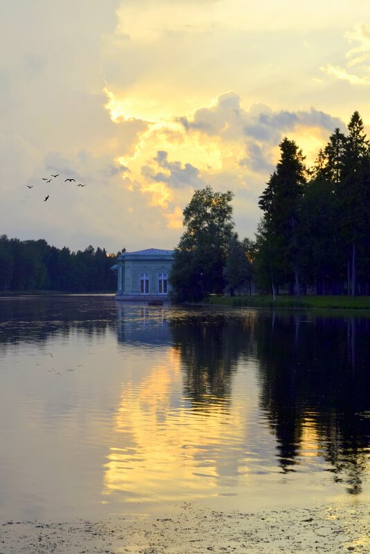 Закат в Дворцовом парке Гатчины, лето 2019 - Дарья Меркулова