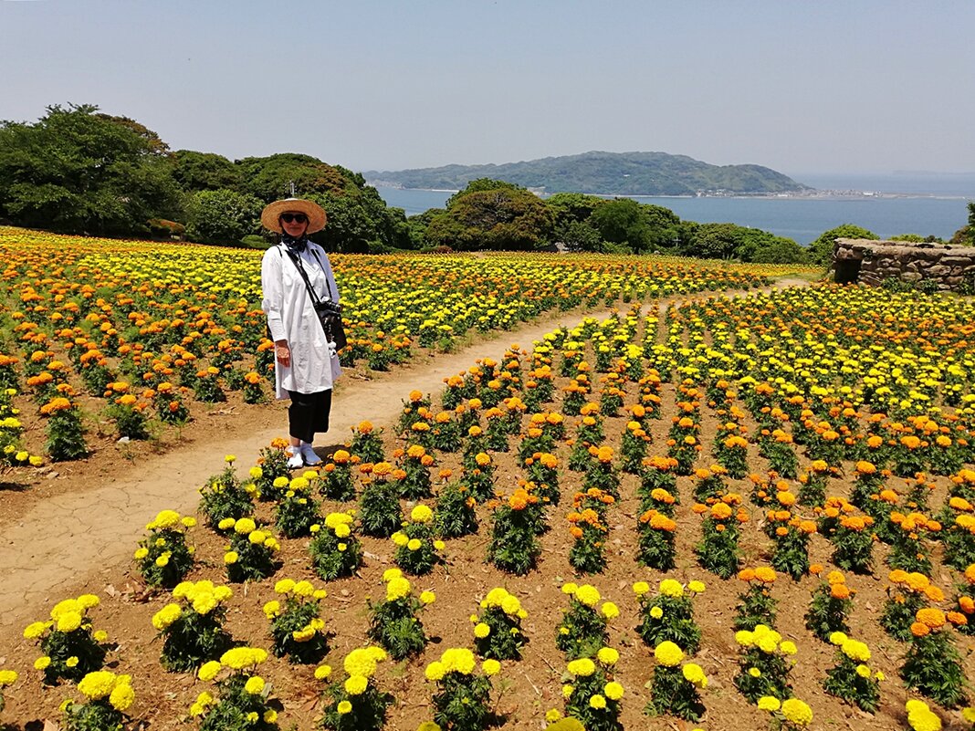 Остров Nokonoshima Island Park Япония - wea *