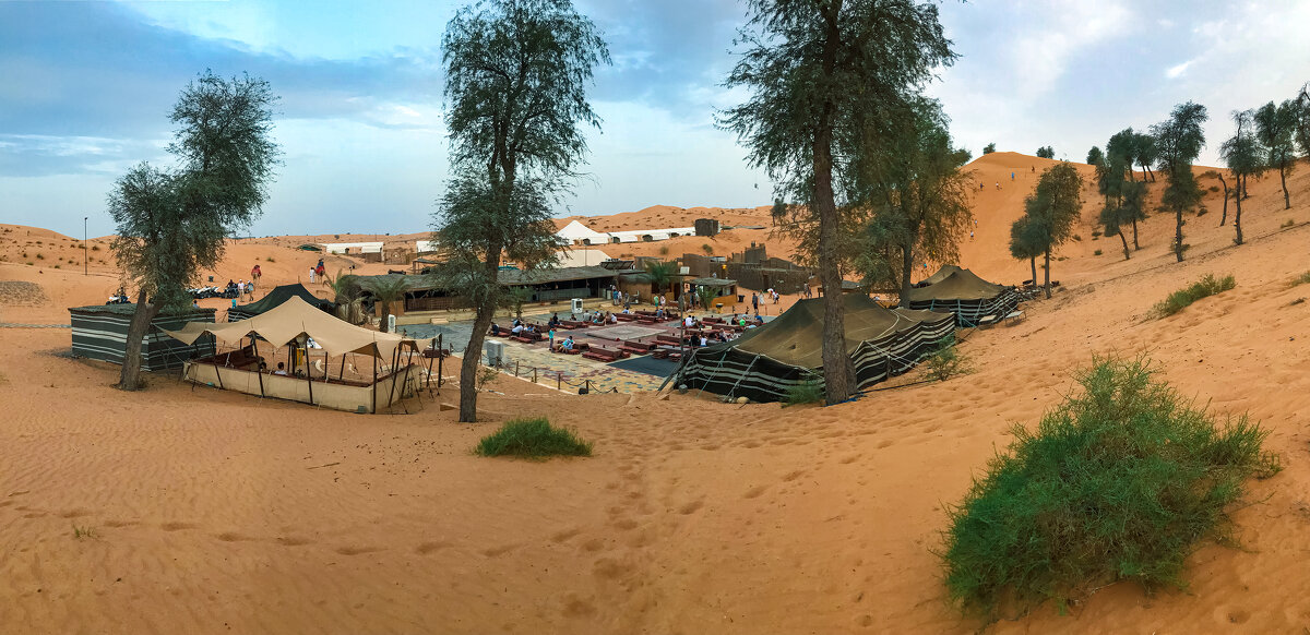 Бедуинский лагерь в Аравийской пустыне - Светлана Карнаух