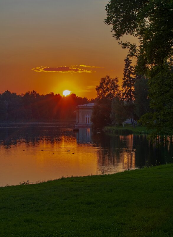 Закат в Дворцовом парке Гатчины. Лето 2019 - Дарья Меркулова