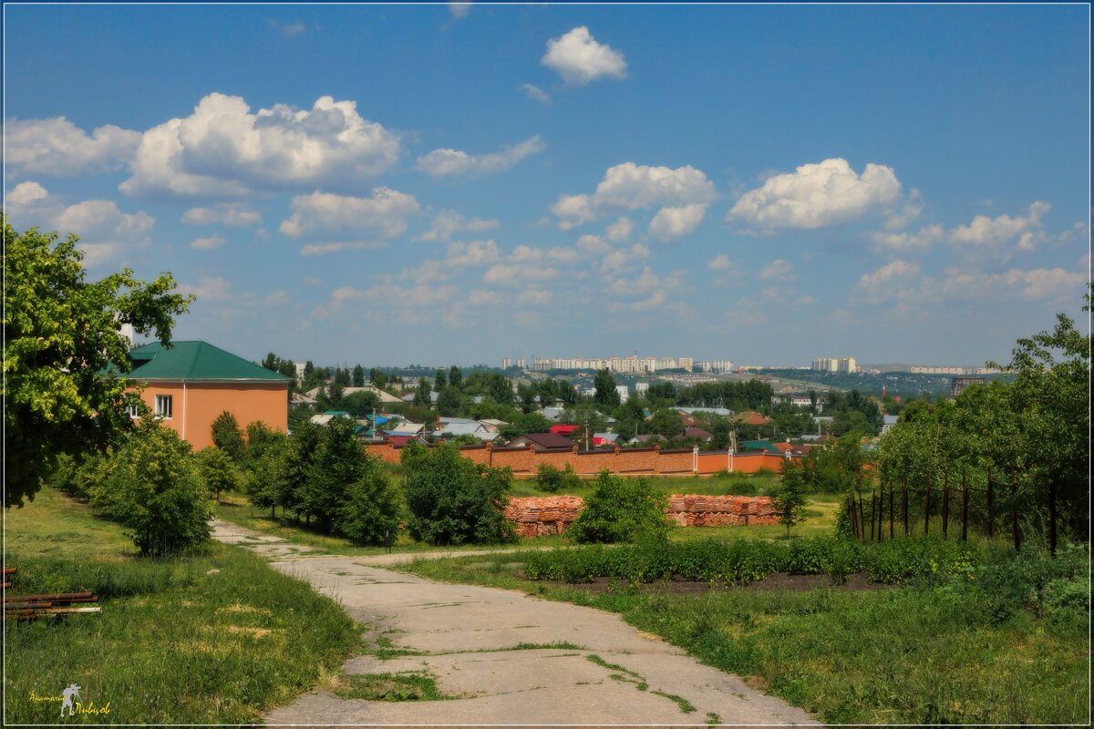 Панорама с территории Свято-Алексиевского  монастыря. - Anatol L
