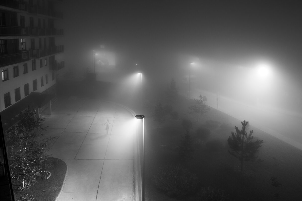 Ночь, улица, туман - Светлана Карнаух