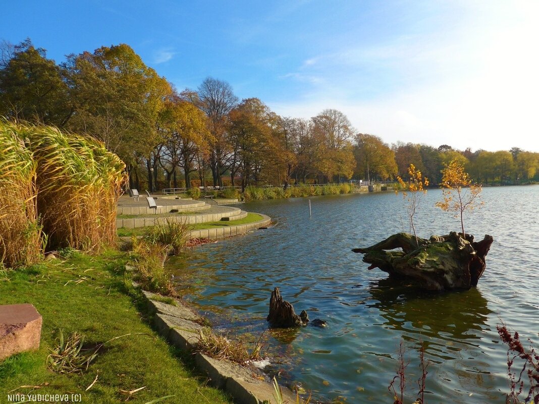 Harburger Stadtpark & Außenmühlenteich Hamburg - Nina Yudicheva