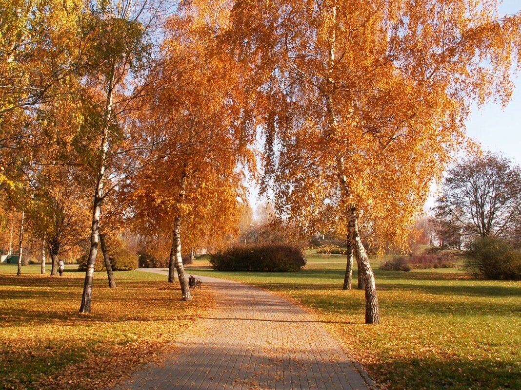 Осень - Надежда Буранова 