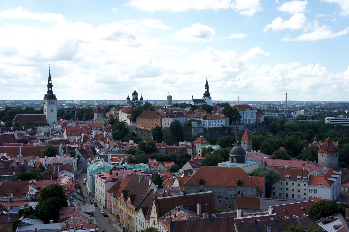 Вид на Таллин со смотровой площадки церкви Олевисте - Елена Павлова (Смолова)