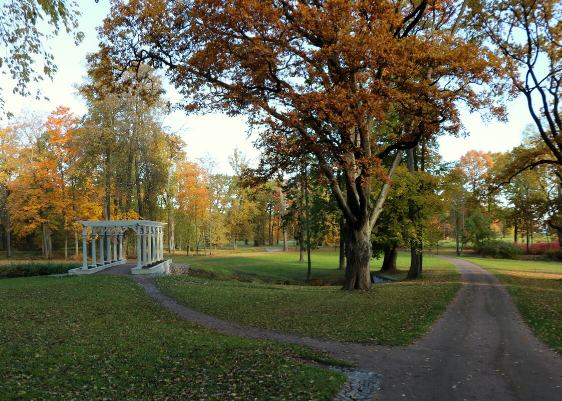 В парке Александрия - Галина Козлова 