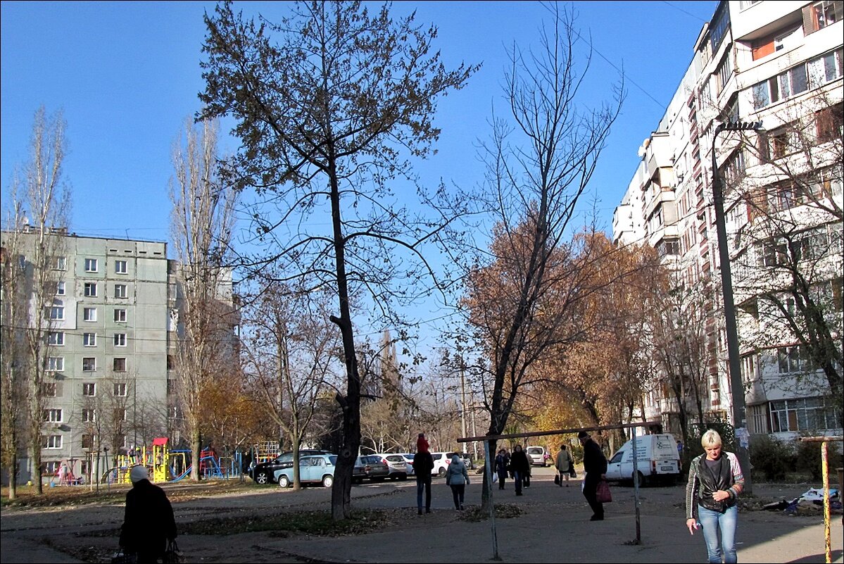 Голубое небо ноября - Нина Корешкова