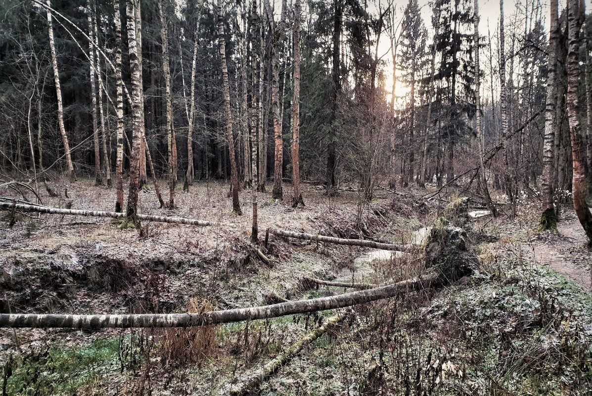 Подморозило - Сергей Б.