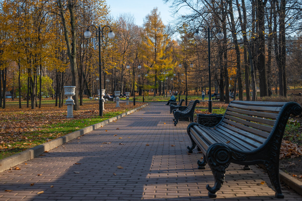 Осень в парке - Евгения Митина