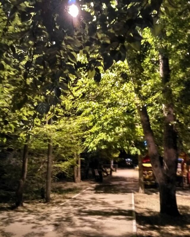 ночная прогулка по скверу - Nataliya 