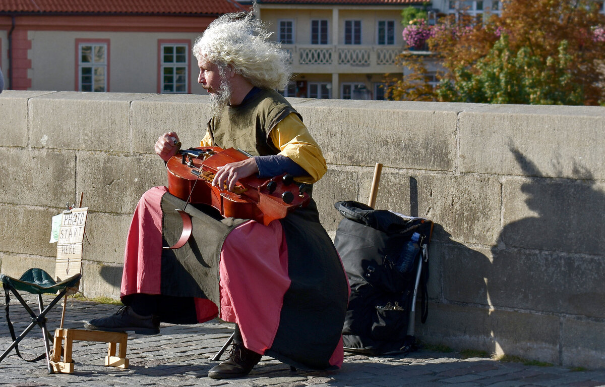 Уличный музыкант - Nina Streapan