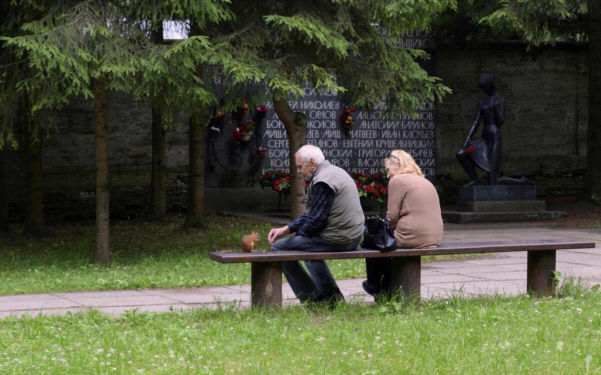 Супружеская пара кормит белочку в парке - Дарья Меркулова