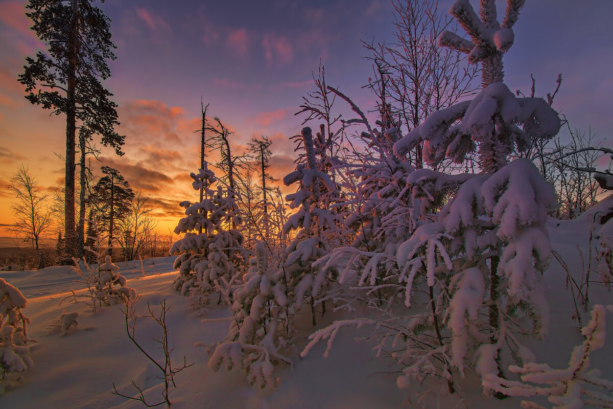 Зимнее утро - Vladimbormotov 