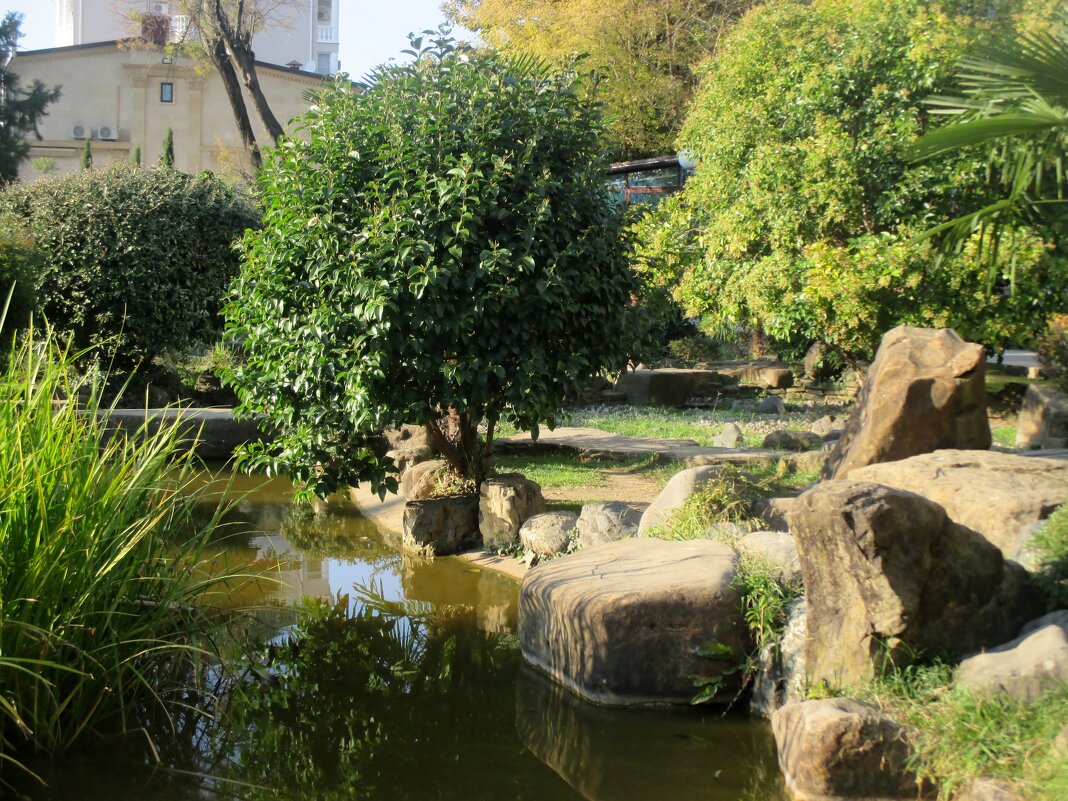 Сочи... Японский сад... - Нина Бутко