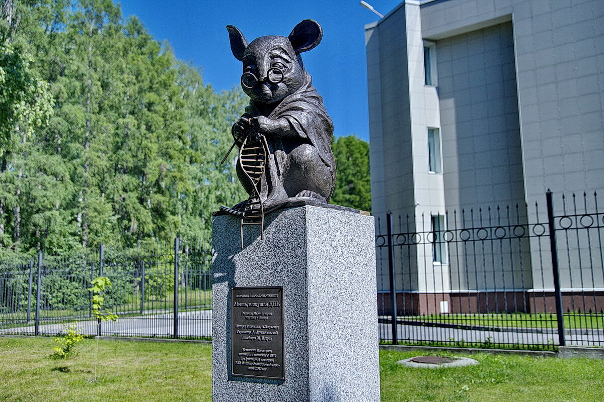 ПАМЯТНИК ЛАБОРАТОРНОЙ МЫШКЕ. Академ городок. В Новосибирске. - Виталий Половинко