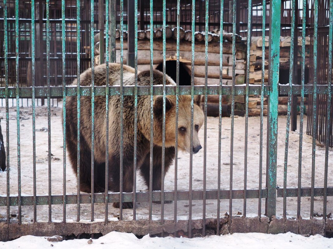 Не спится. - Ильсияр Шакирова