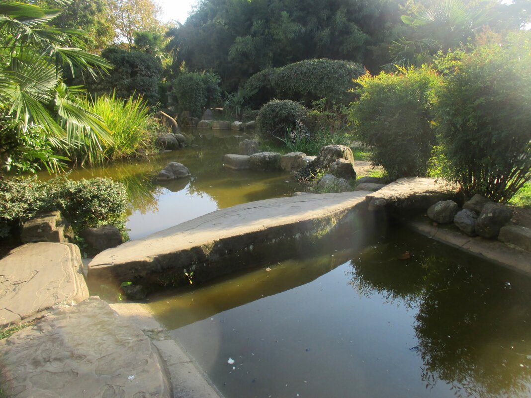 Сочи... Японский сад - Нина Бутко