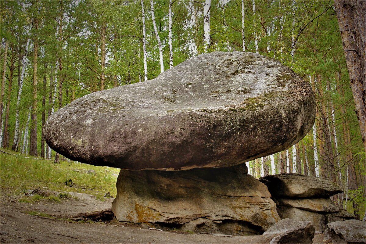 Каменный гриб - Сергей Чиняев 