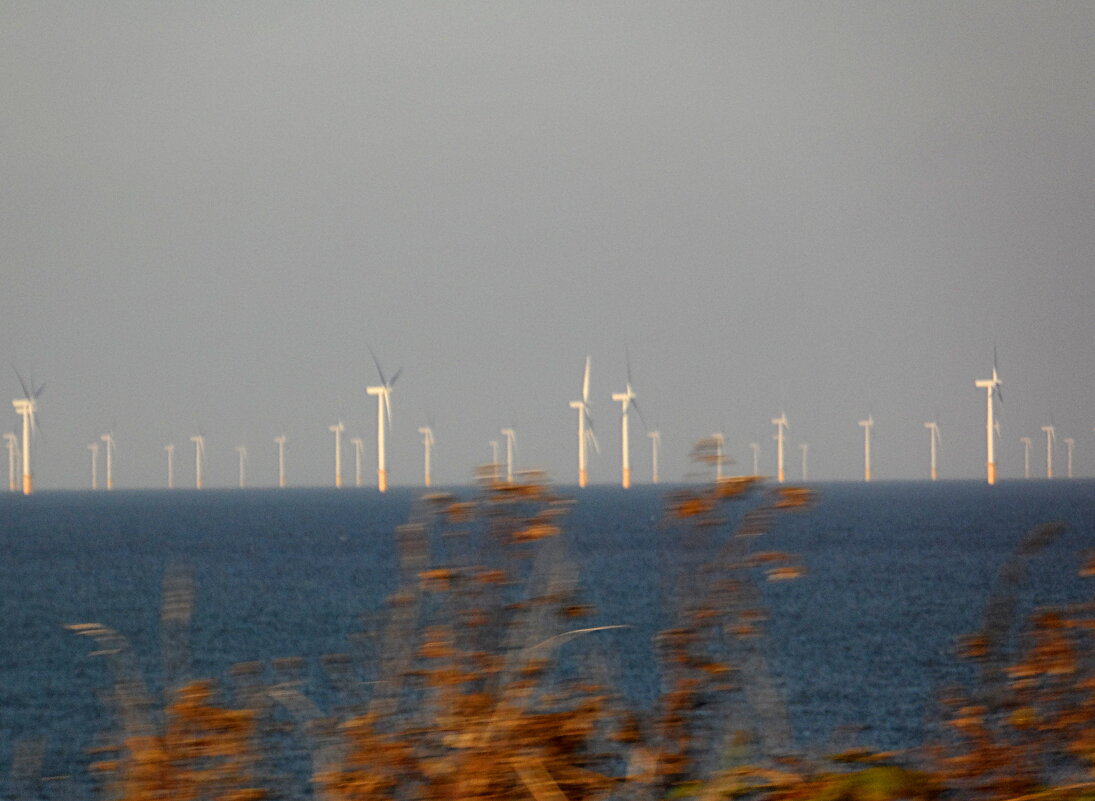 В Великобритании заработала крупнейшая ветряная электростанция - Галина 