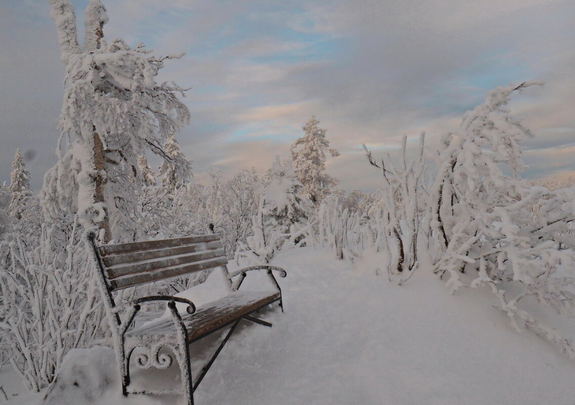 Зима на Черной скале. - Galina Serebrennikova