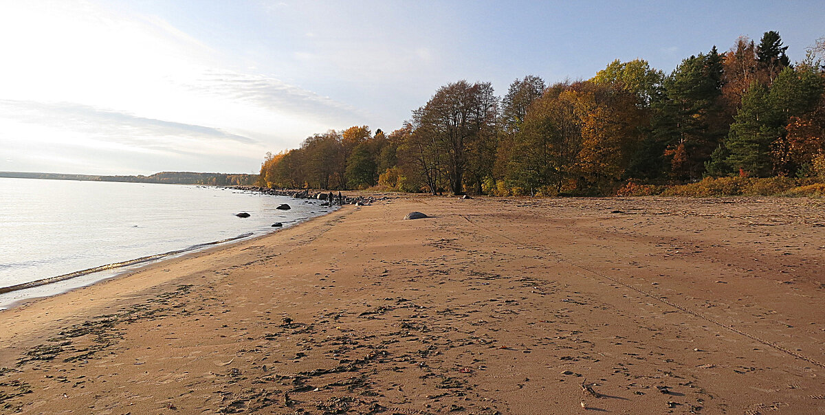 Осенний пляж. - Валентина Жукова
