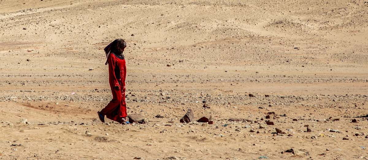 Женщина  аравийской пустыни - Олег 
