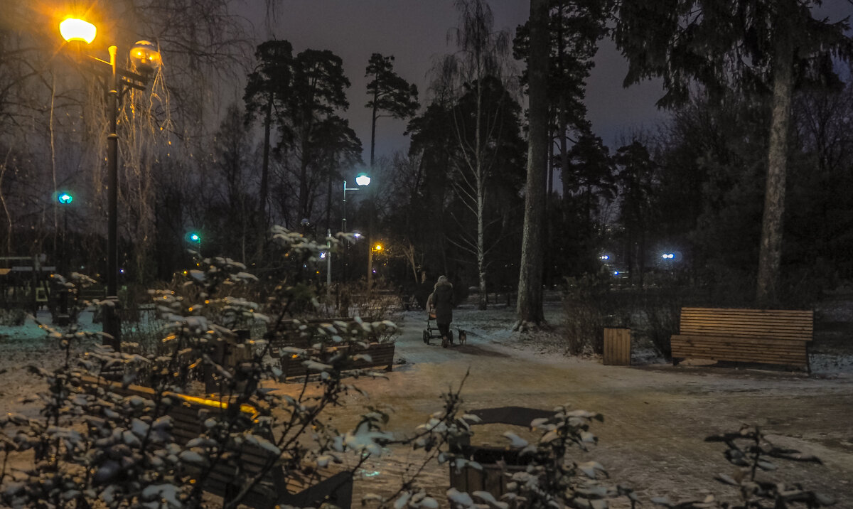 Прогулки в Вечернем Парке - юрий поляков