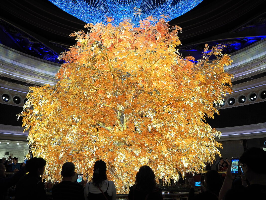 "Золотое дерево процветания" в казино WYNN Макао Китай - wea *