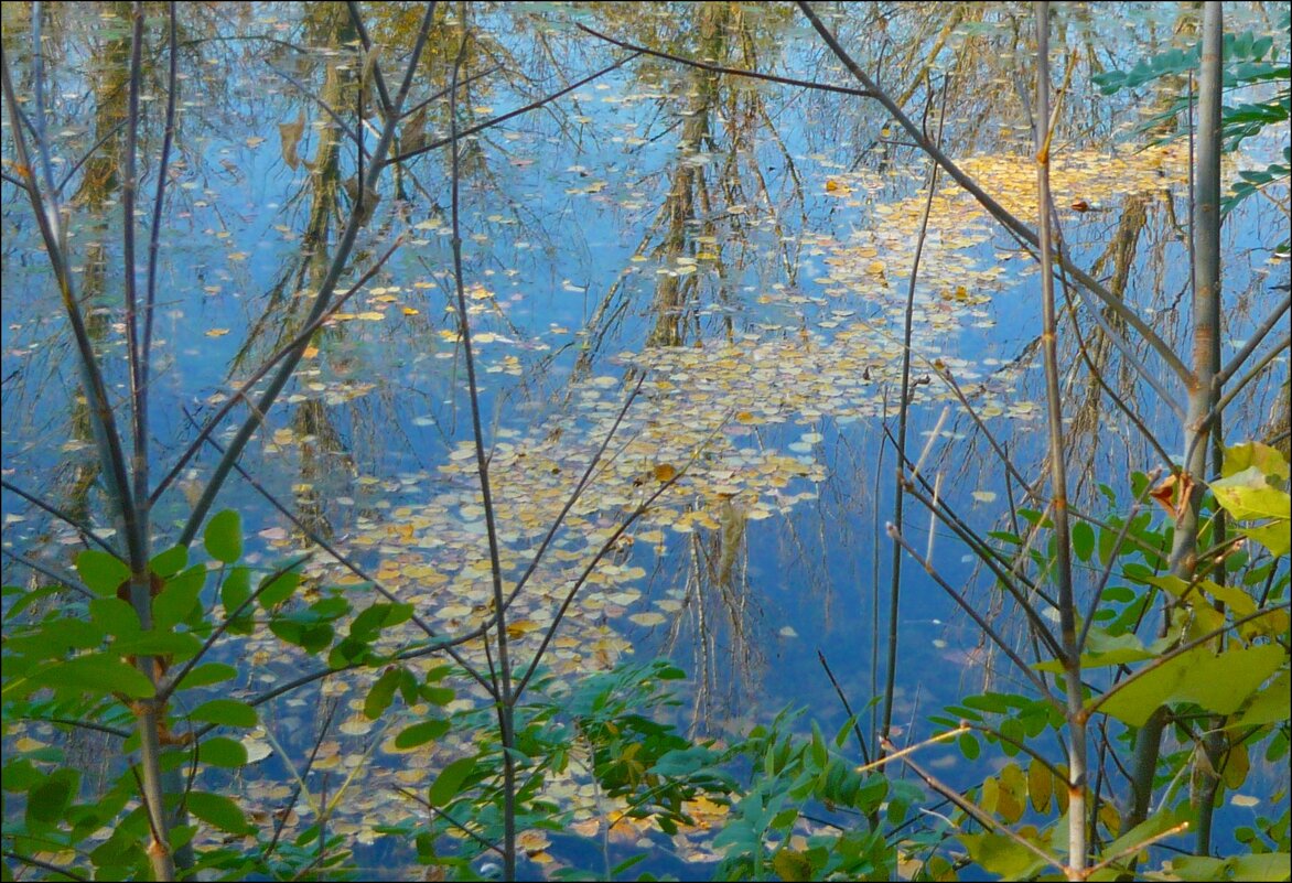 Осенняя дорожка на пруду - Надежда 