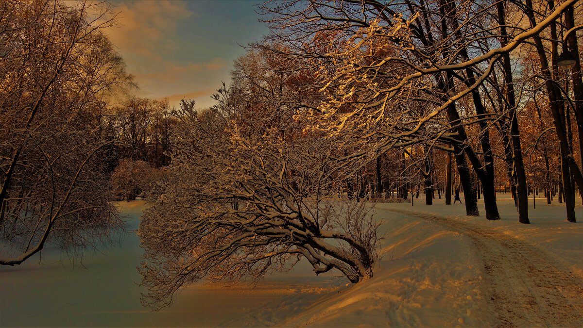 Игры зимнего солнца... - Sergey Gordoff