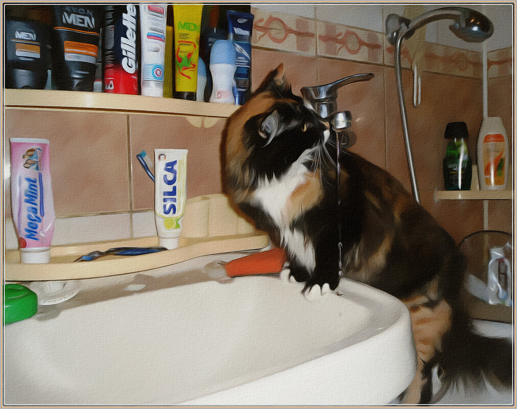 Кошка, пьющая воду... - Vladimir Semenchukov