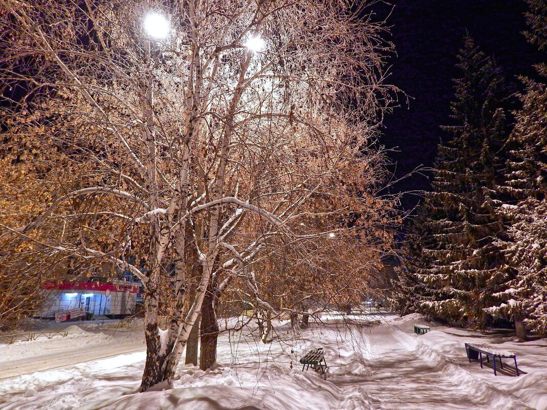 * Ночные улочки родного города * - Елена Хайдукова  ( Elena Fly )