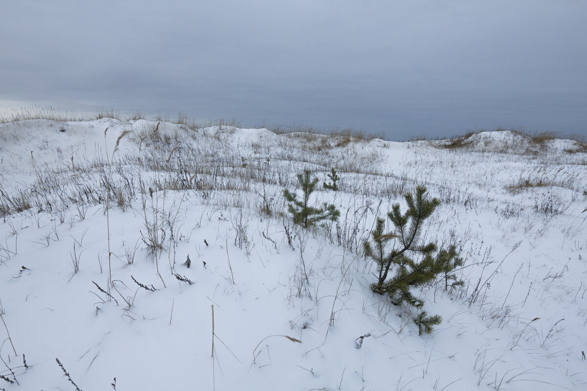 Северодвинск, берег Белого моря в разные времена года - Владимир Шибинский